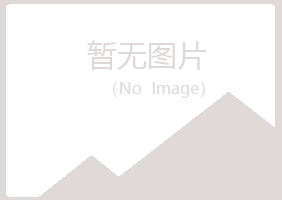 乌海夏日金属有限公司